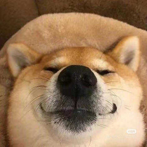 好房子转租