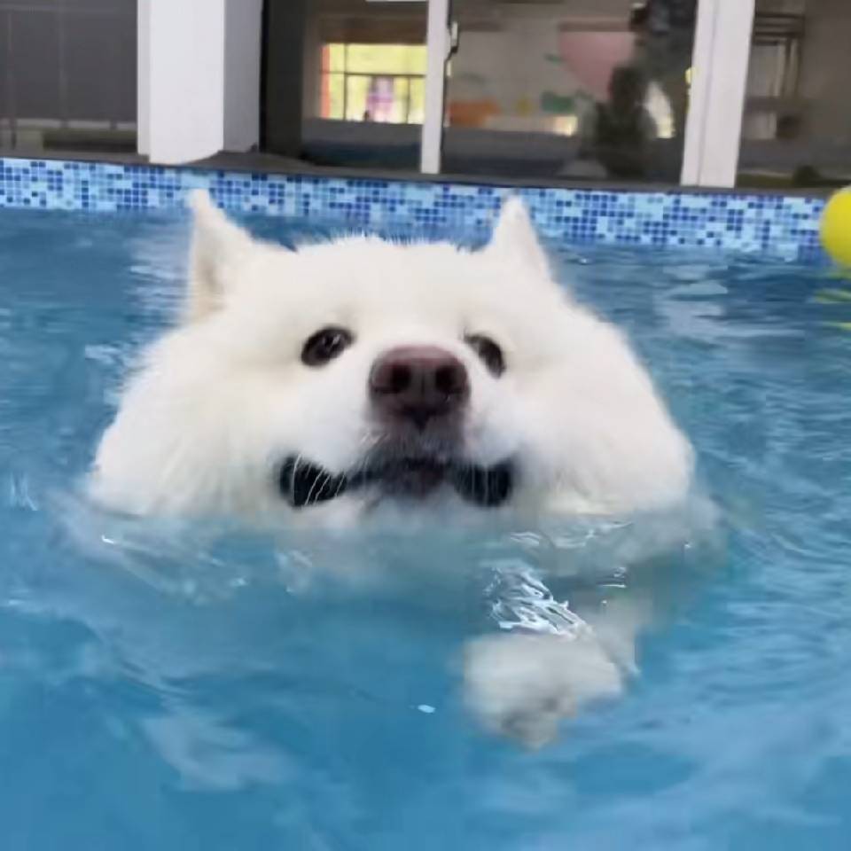 XxXQqQ