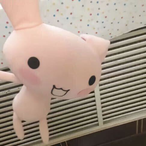 缺心眼的倒霉熊