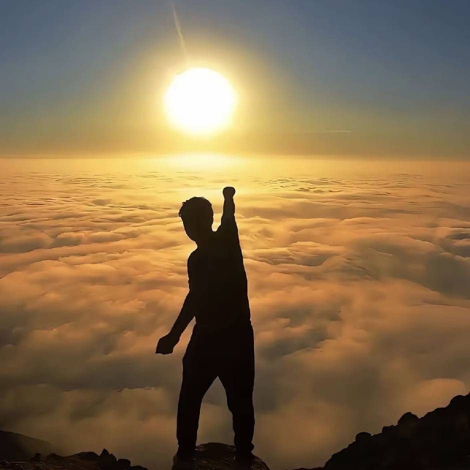 无情的热心市民