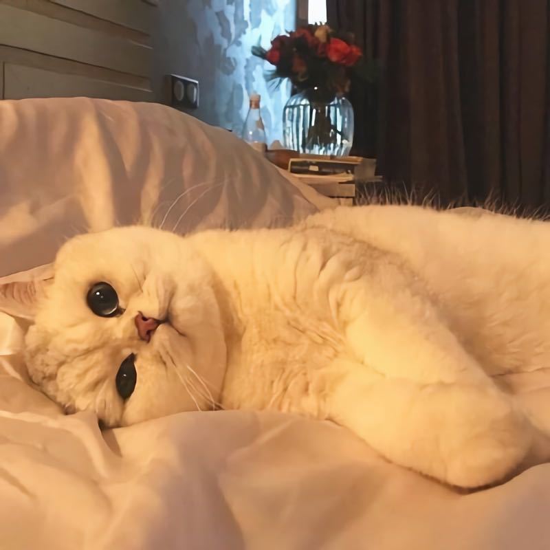 Jie