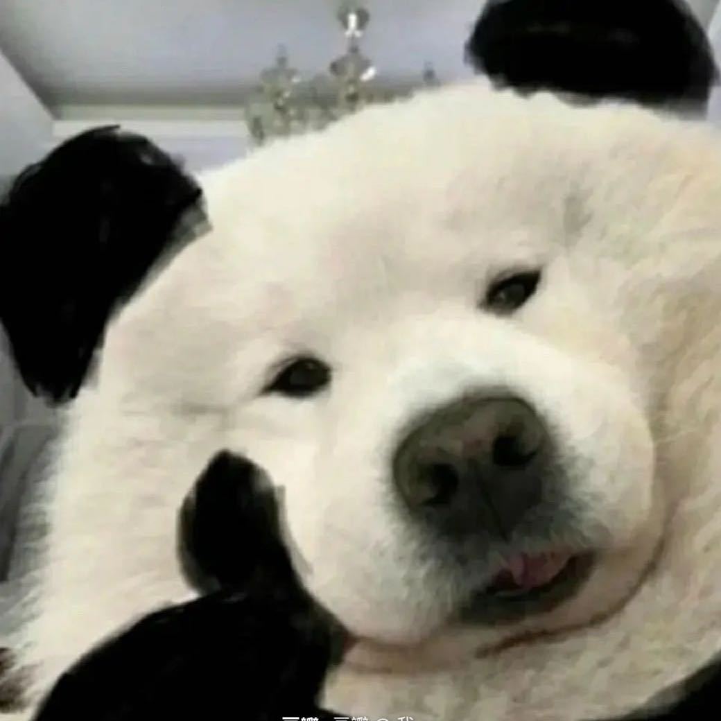 牟灵菲