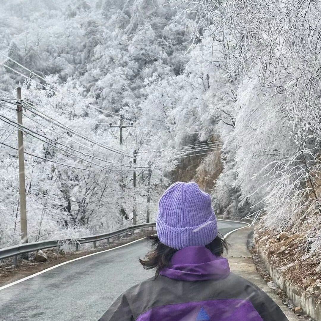 妮可妮可