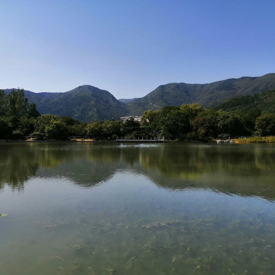欧美汇 李老师