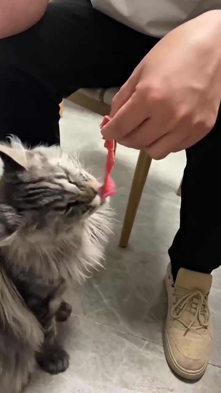 就爱吃点小牛肉。