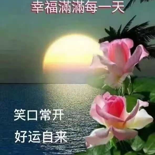 美心