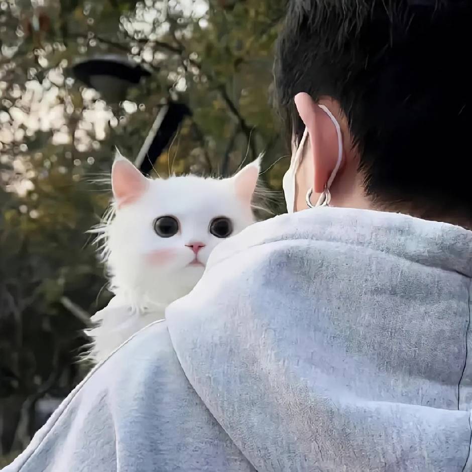 Aiamo