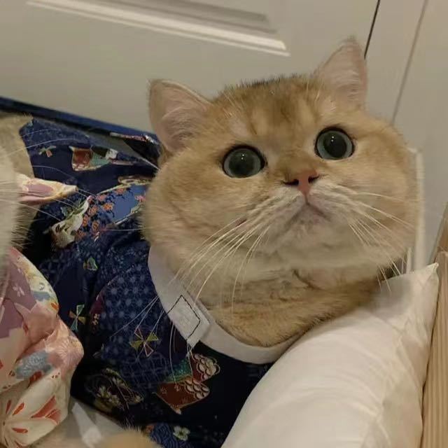 任性