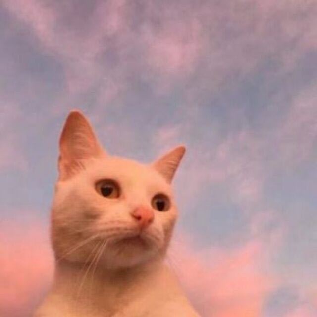二胎绝情奶爸