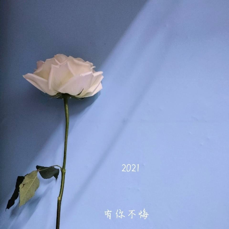 你的微笑百度收不到！