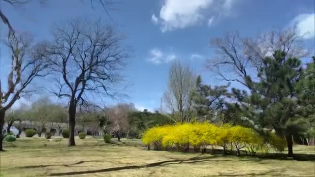 古城三月又逢春。风好大~~