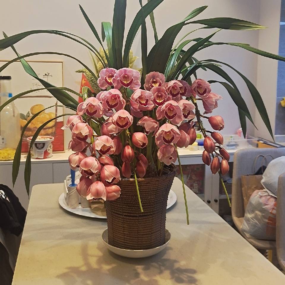 格格妈