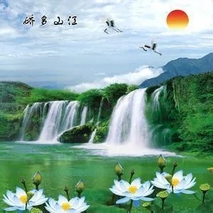 小新
