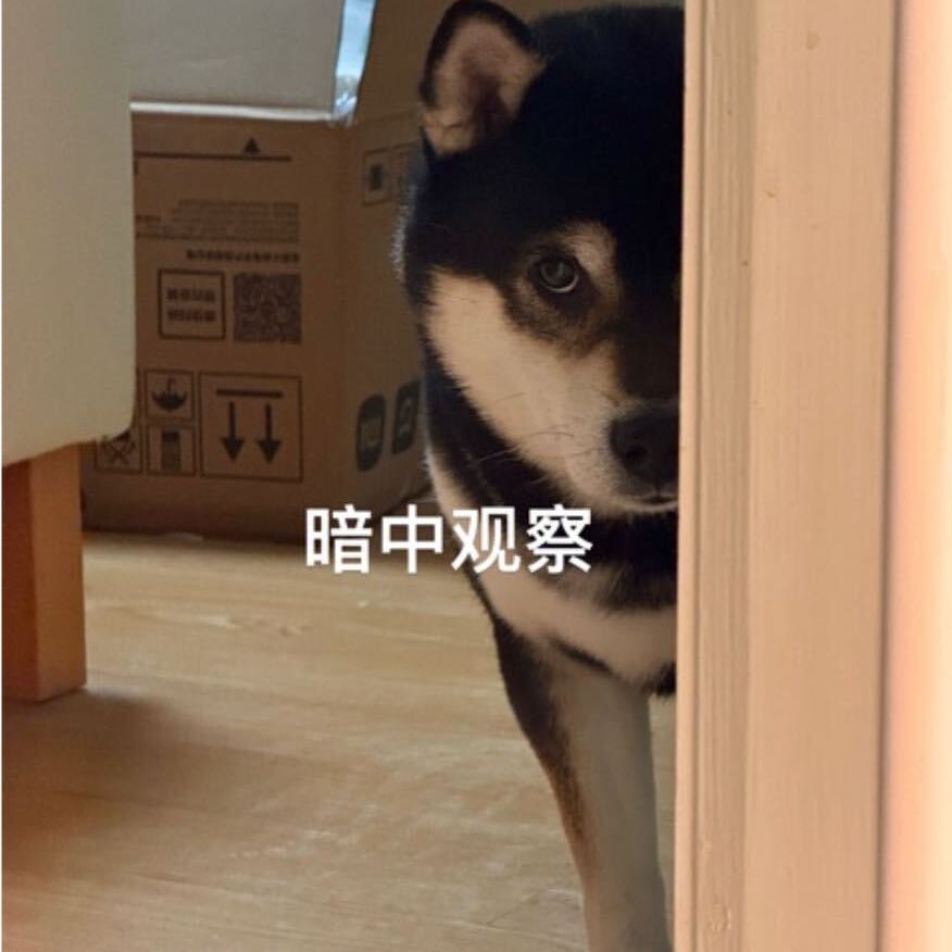 付无为