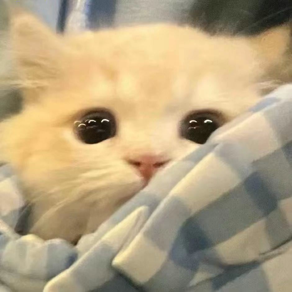 忆.