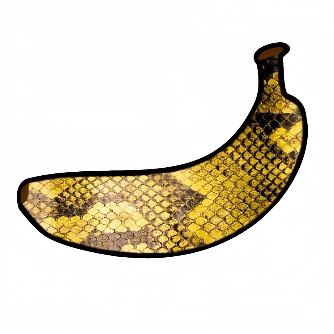 🍌财进宝