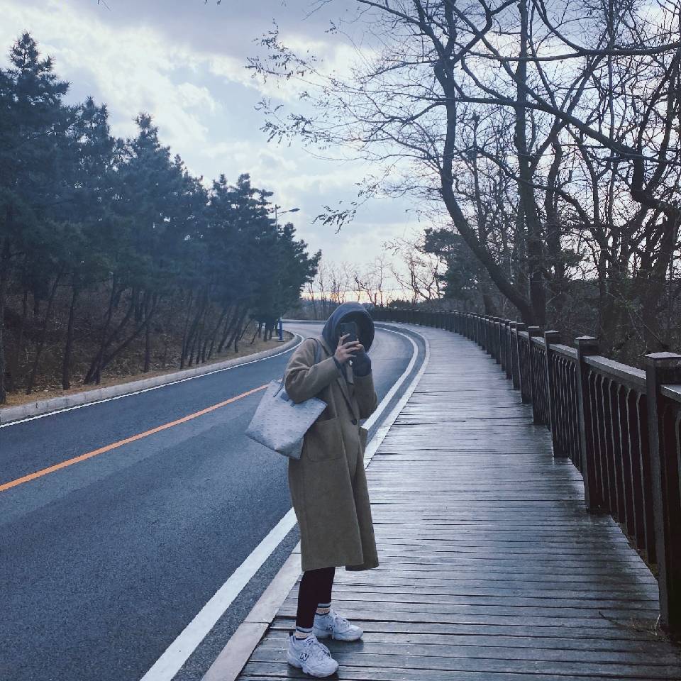 佳qi