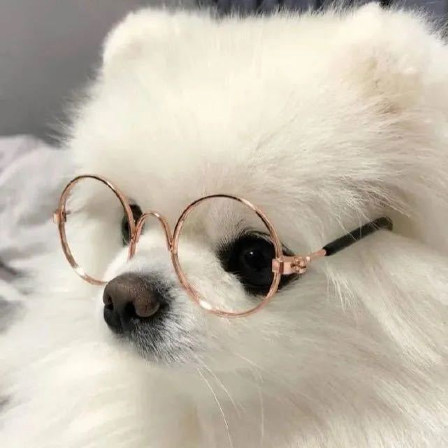 小王爷