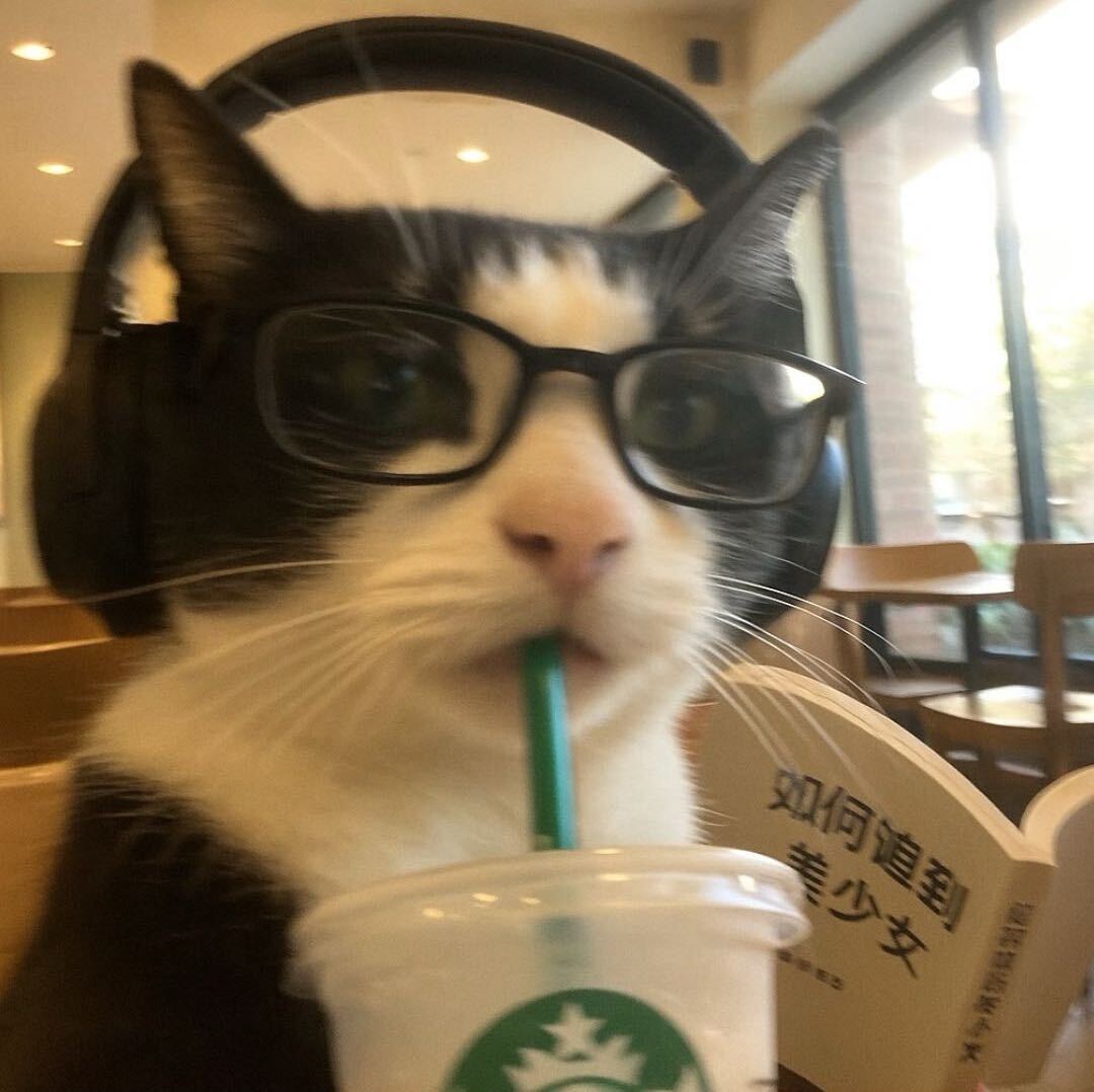 urPapacito