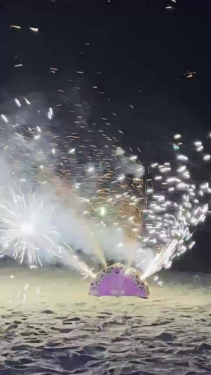 上海北外滩寻找有趣的女生室友