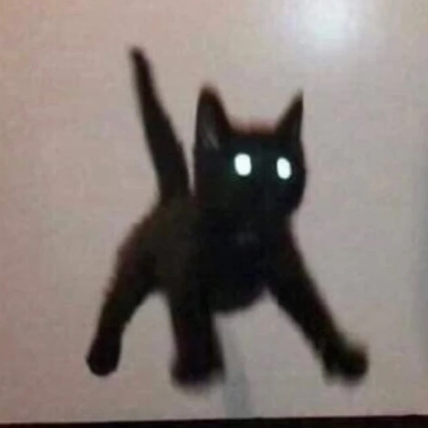 知木