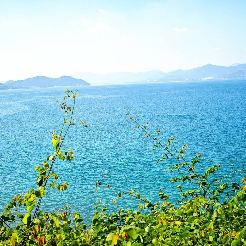 舒适家宝