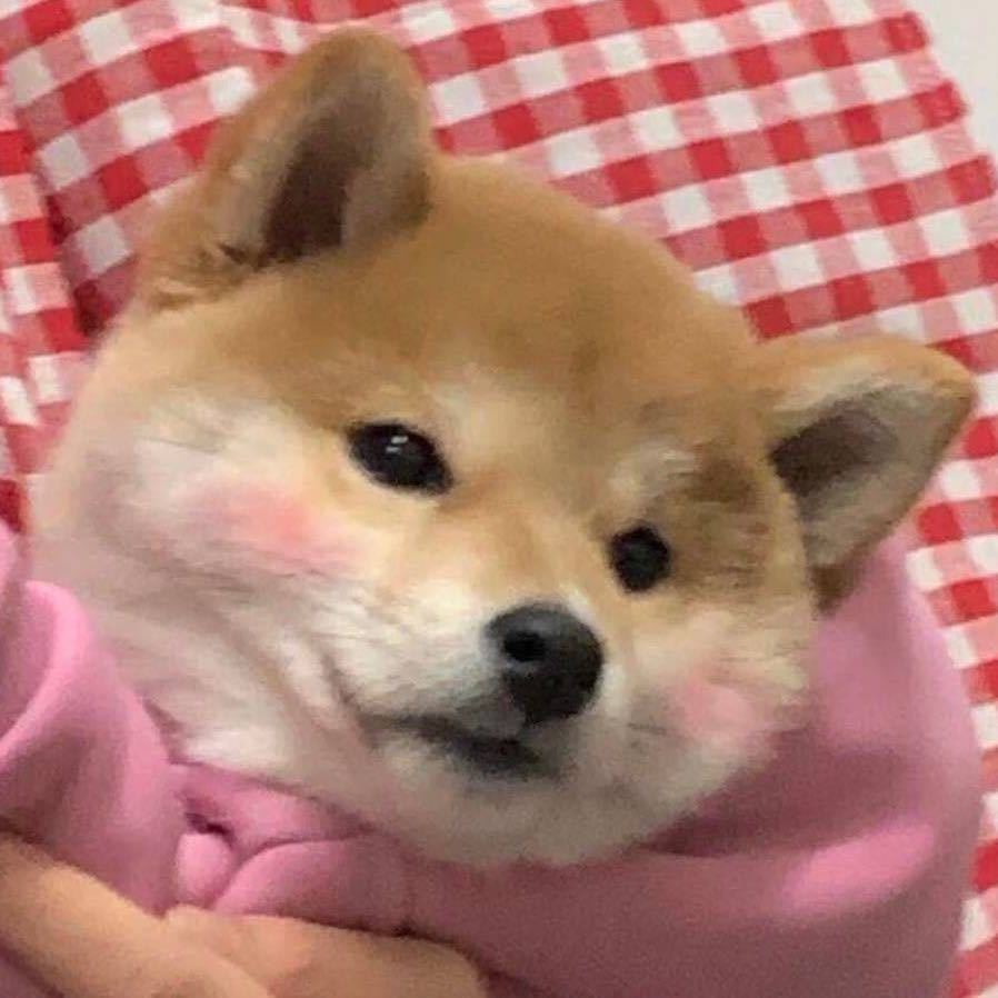 吃葡萄吗🍇