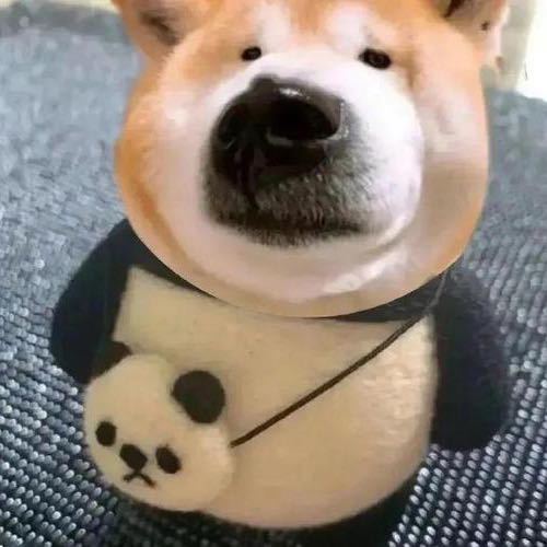 哎！不错呦~