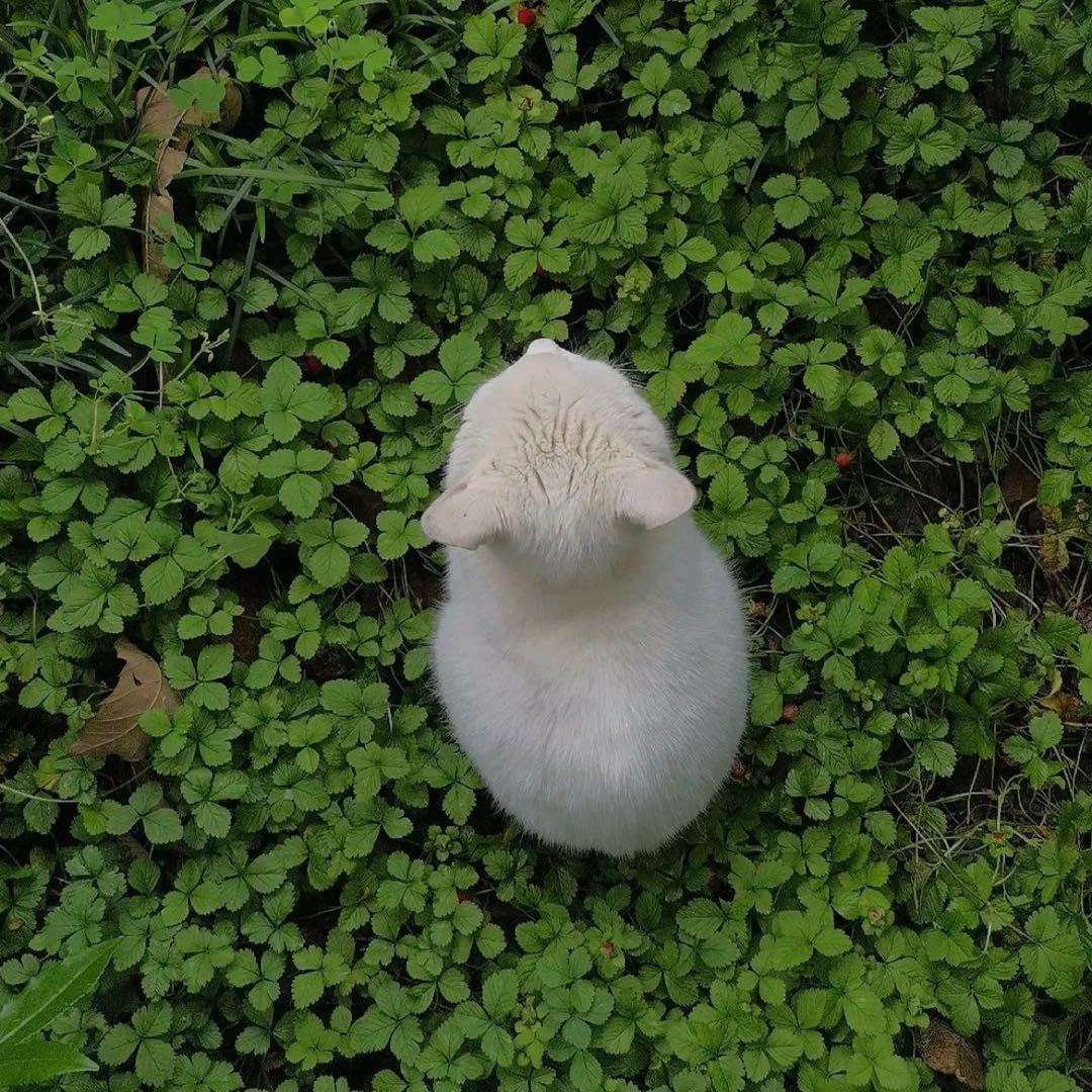 一纸能藏几字庸
