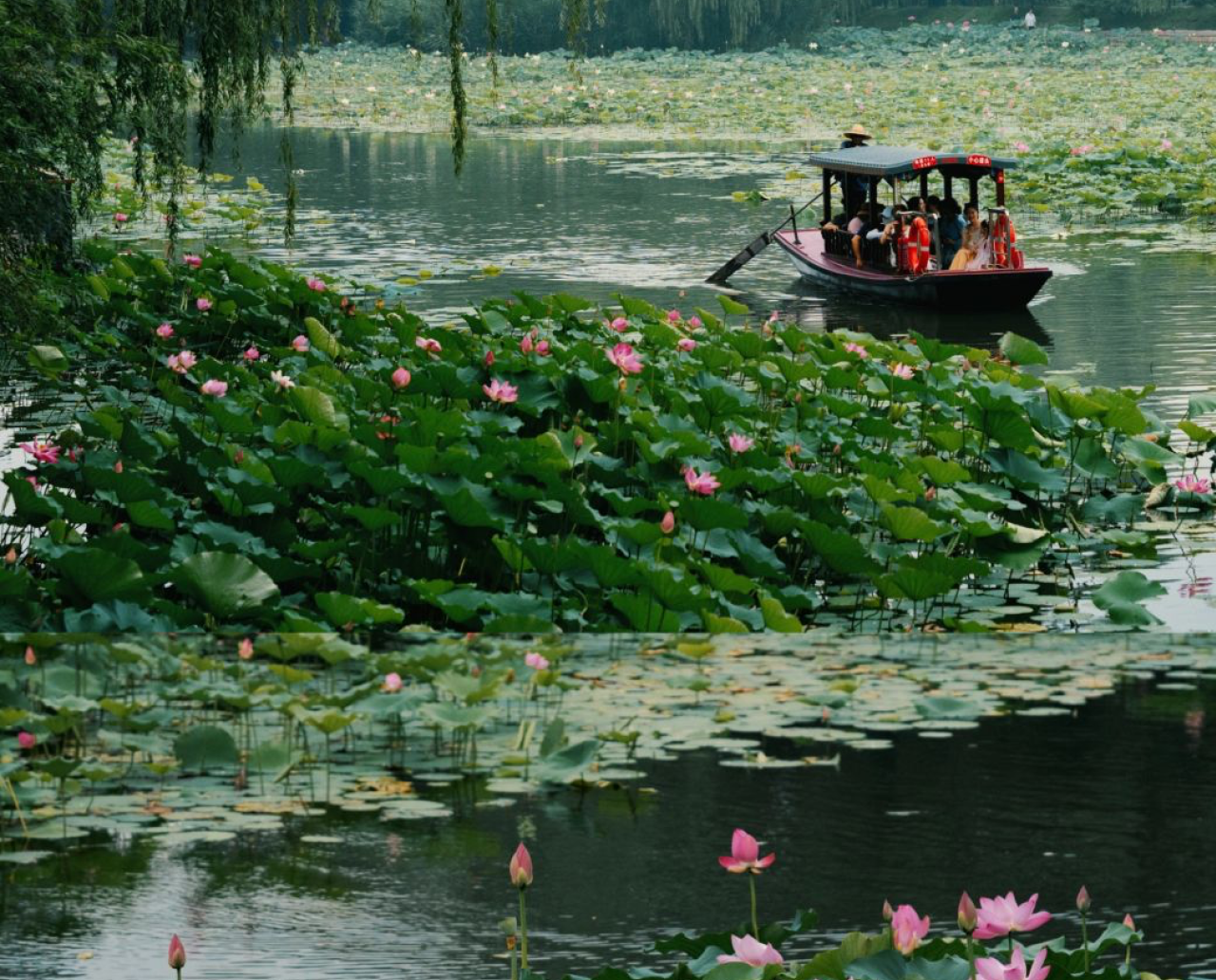 北京大学未名湖畔(海淀区)