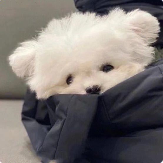 💤