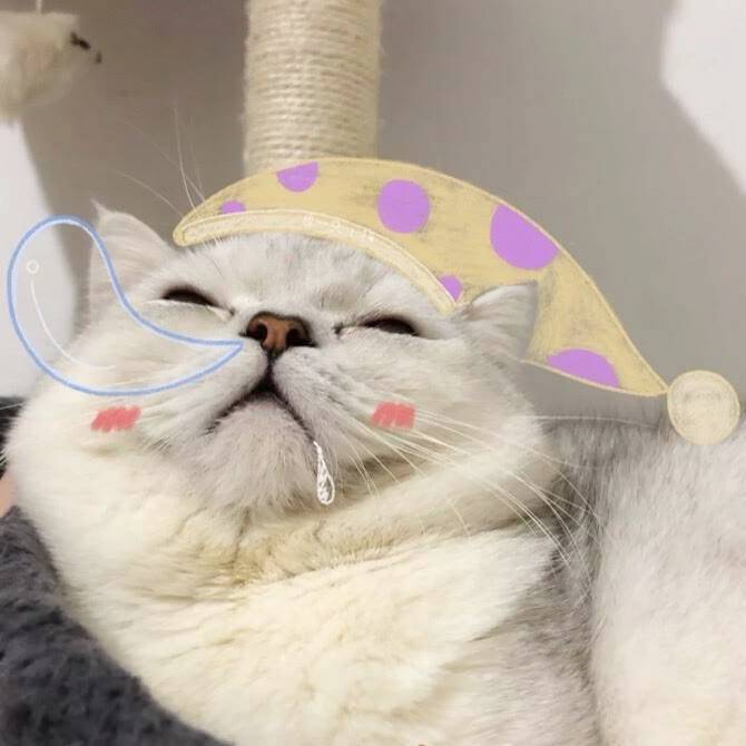 小韩