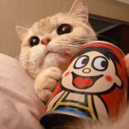魏明霞