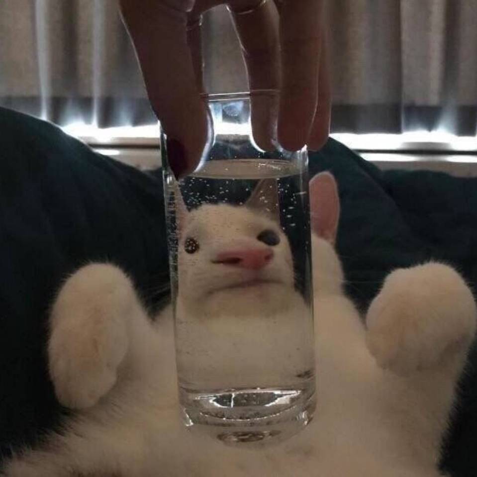 我是神仙啊