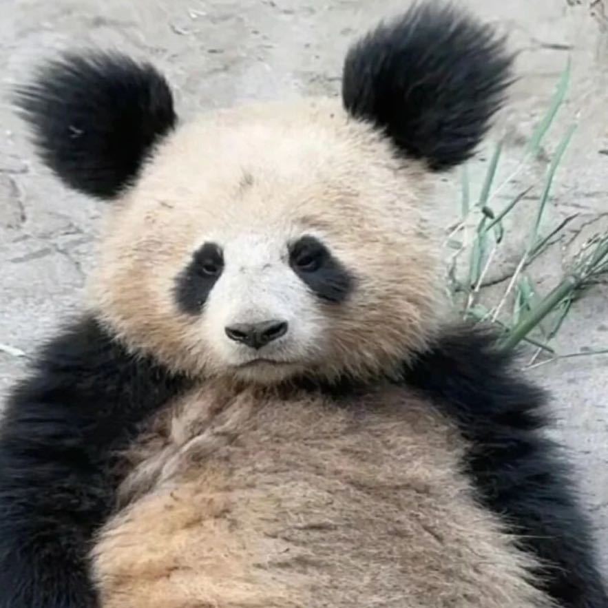 个人转租 转租转租