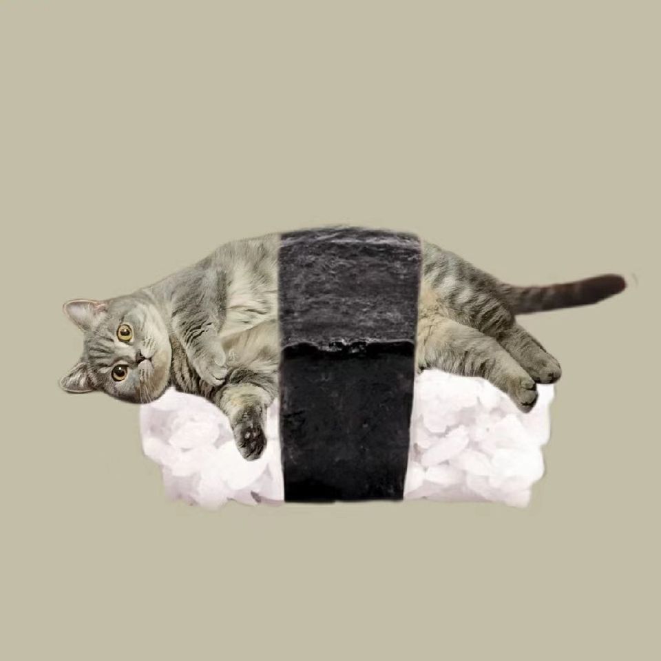 zp