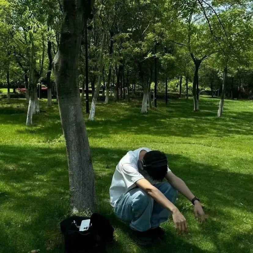 枫