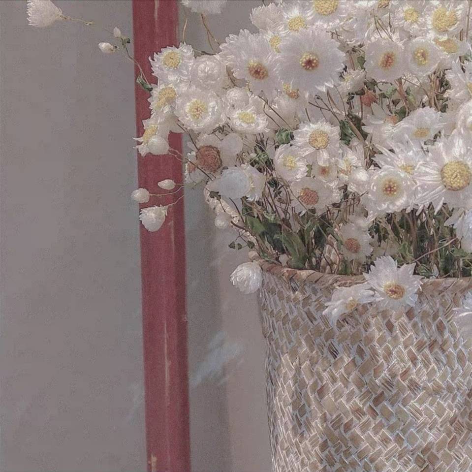 槑槑