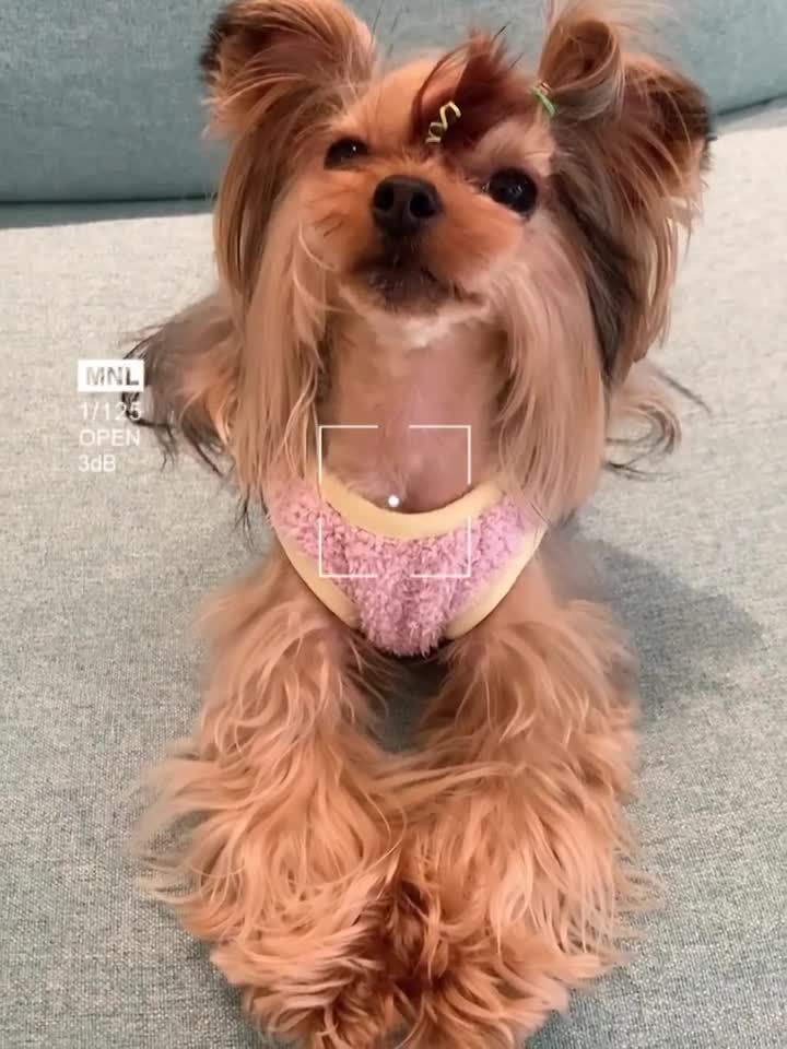 自己的小宝贝都是最好看