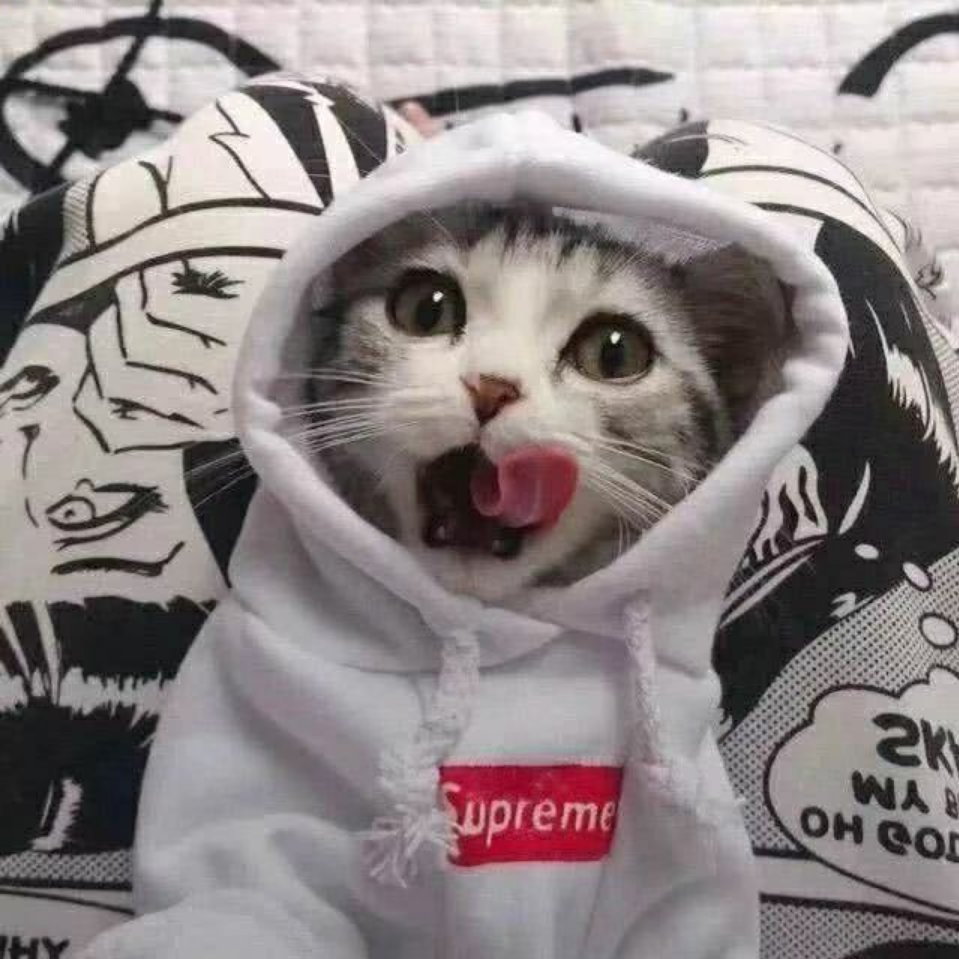啦啦啦