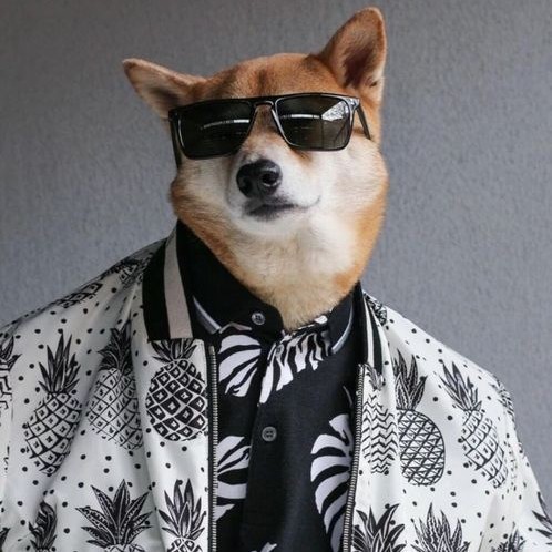 （＾Ｏ＾）
