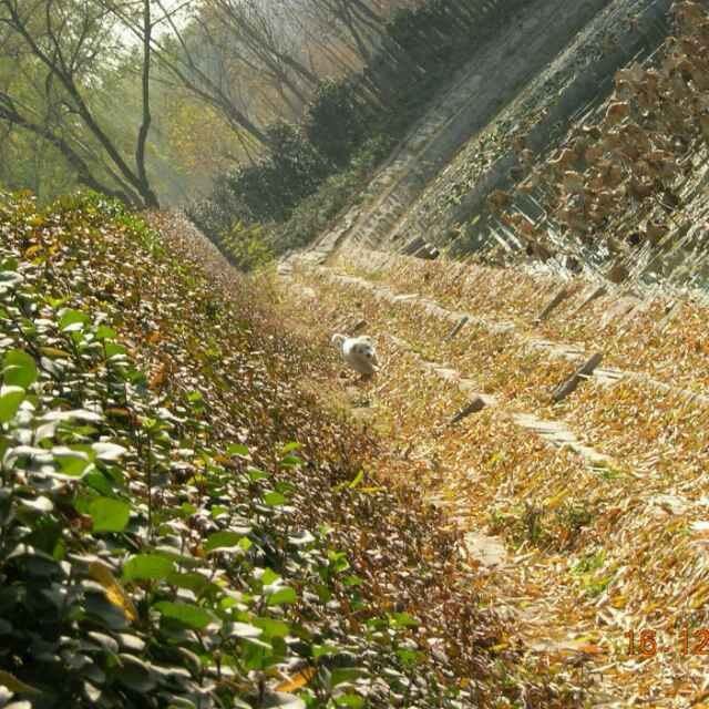 远在天边