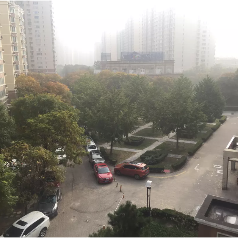 Beijing-Chaoyang-Wangjing ,Shared Apartment