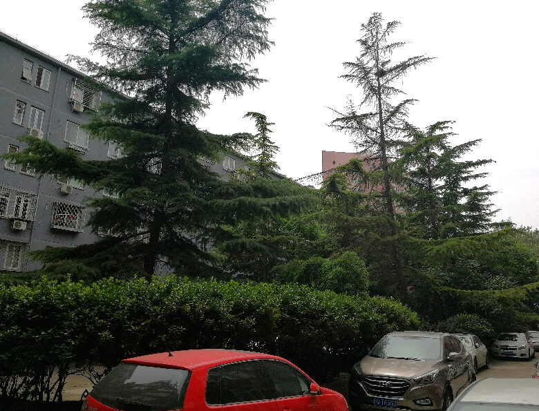 life_photo_4