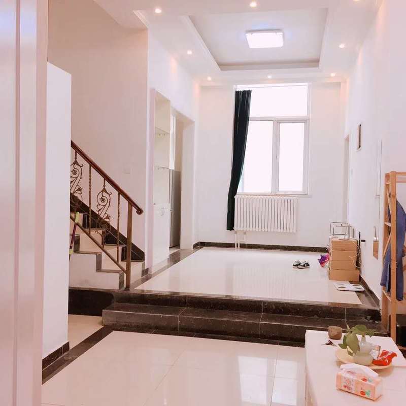 Beijing-Chaoyang-Loft,Shared Apartment,Pet Friendly,Seeking Flatmate