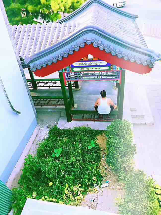 life_photo_1