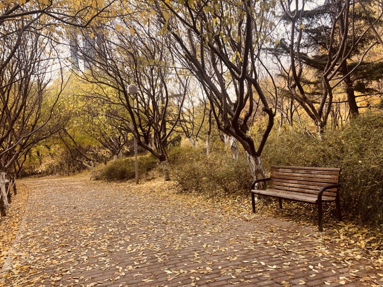 life_photo_0