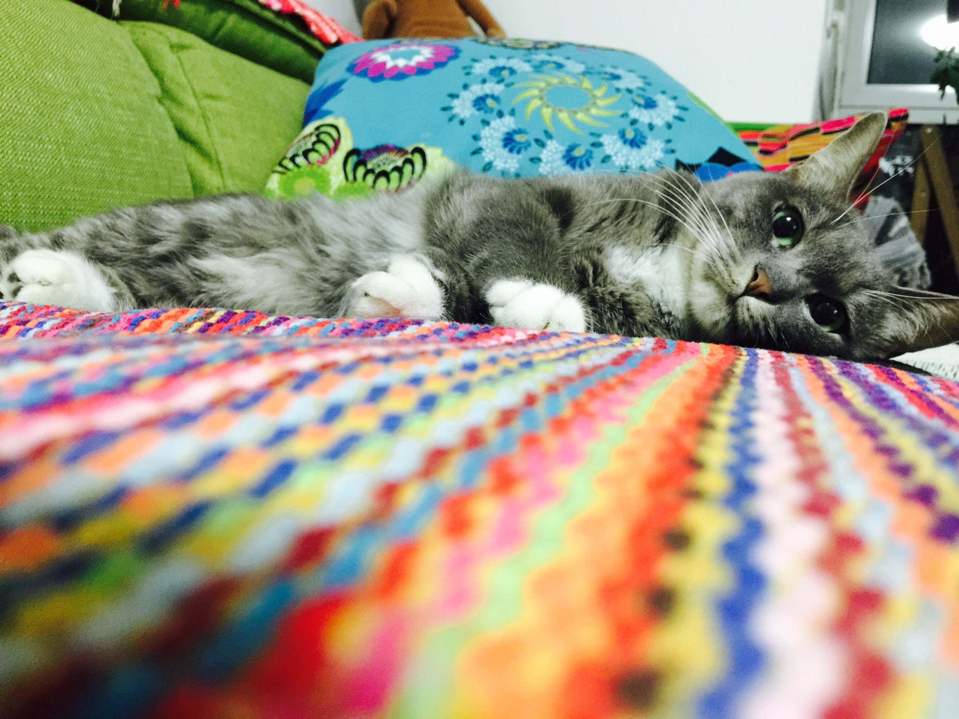 life_photo_2