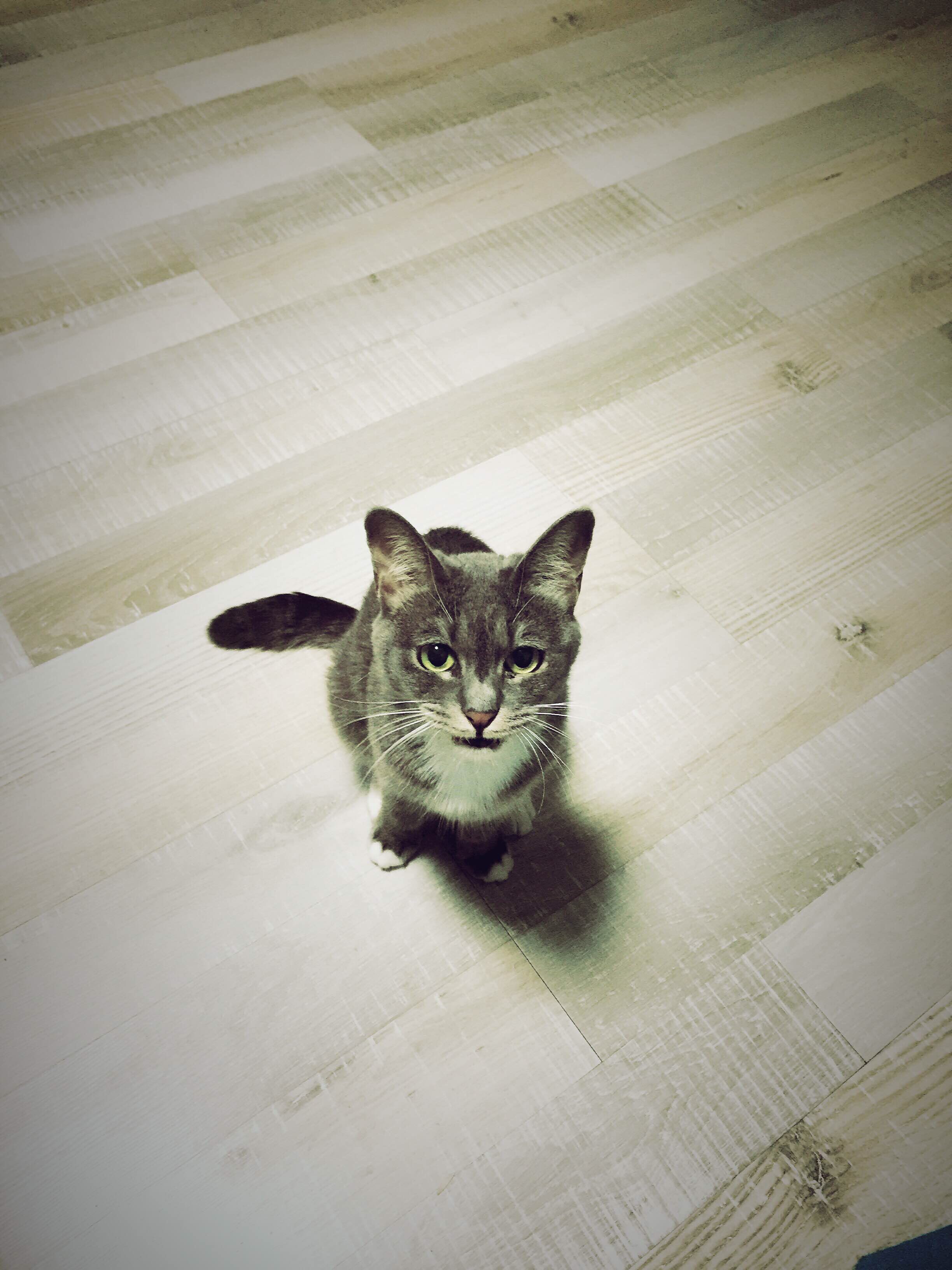 life_photo_4