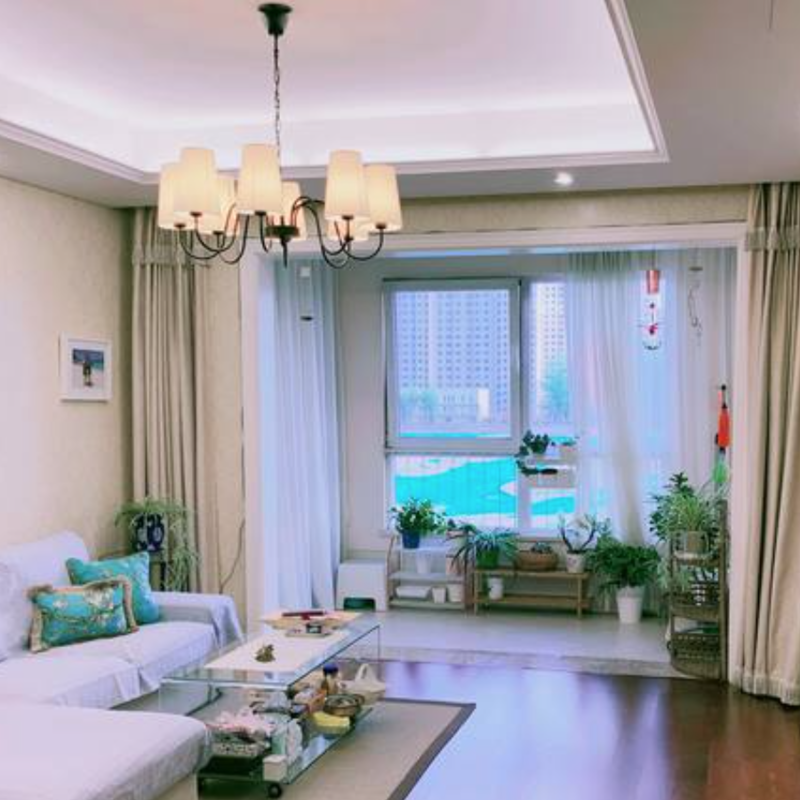 北京-朝阳-2 bedrooms,宠物友好,长&短租